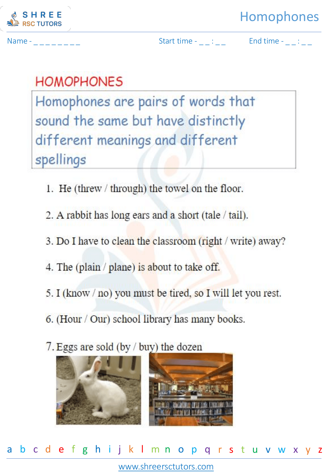 Grade 3 English Homophones worksheet